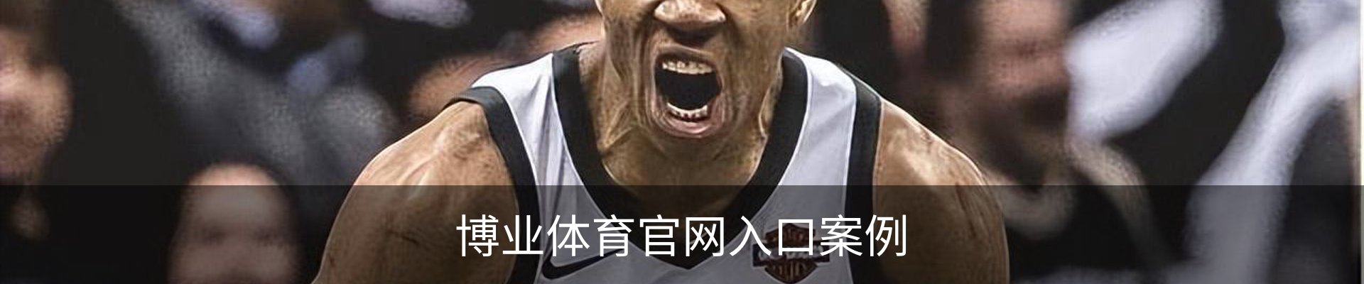 博业体育官网入口案例